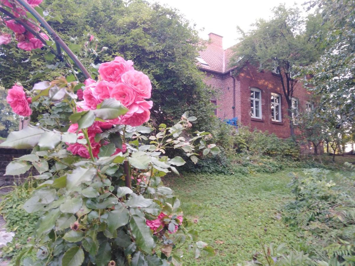 Alte Schule Am See Biskupiec  Exteriör bild