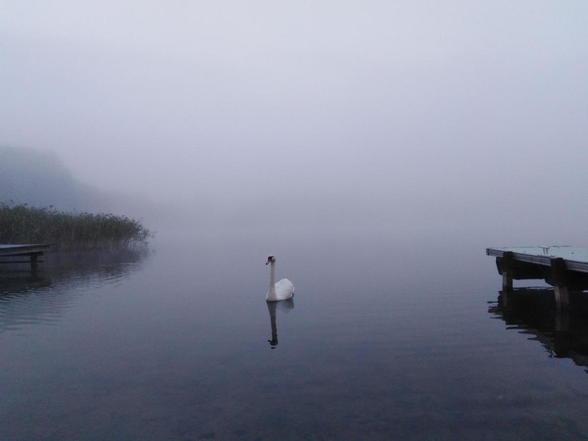 Alte Schule Am See Biskupiec  Exteriör bild
