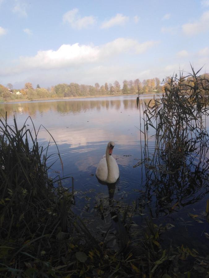 Alte Schule Am See Biskupiec  Exteriör bild